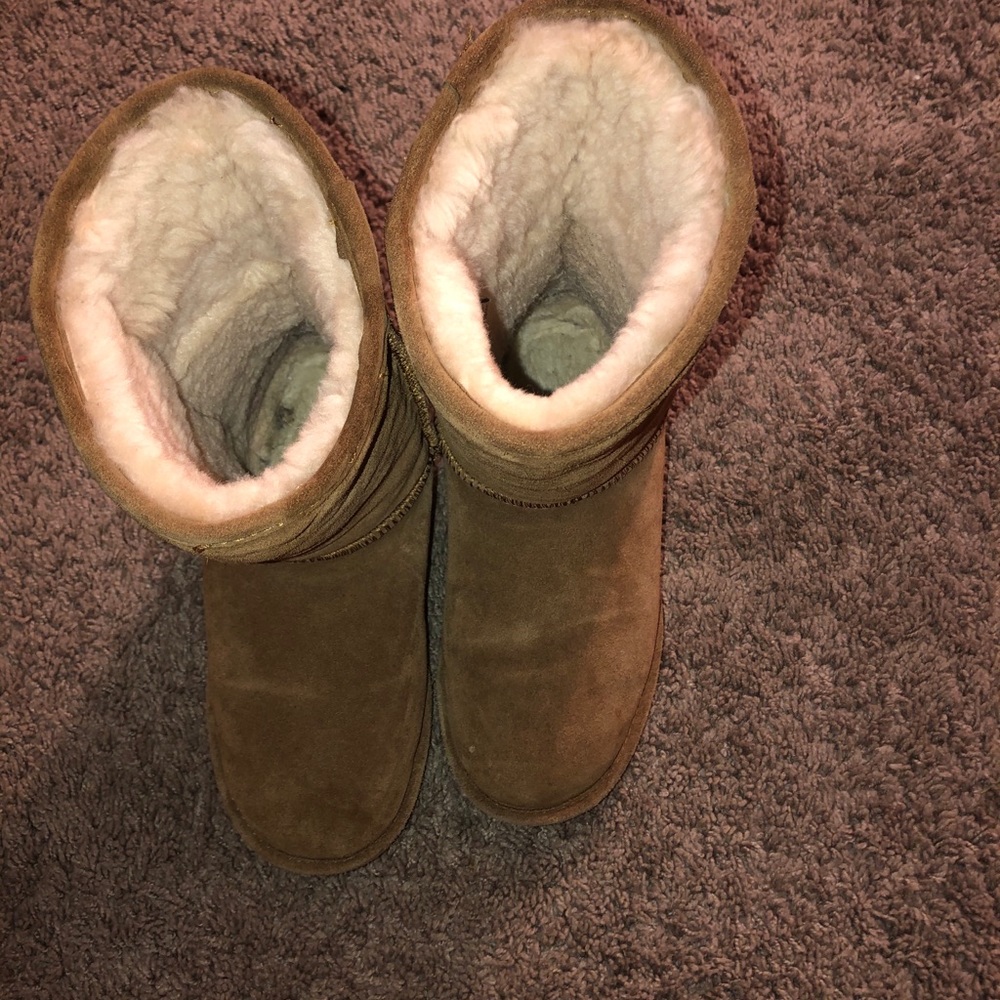 Tan bear paws